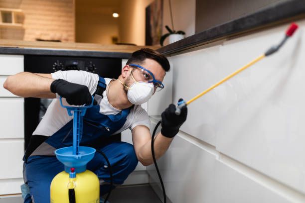Professional Pest Control in Lakewood, CA