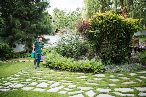 Best Affordable Exterminators  in Lakewood, CA