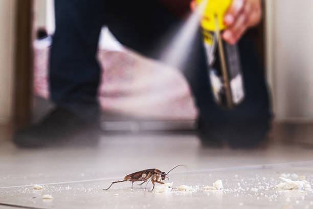 Best Cockroach Control Services  in Lakewood, CA