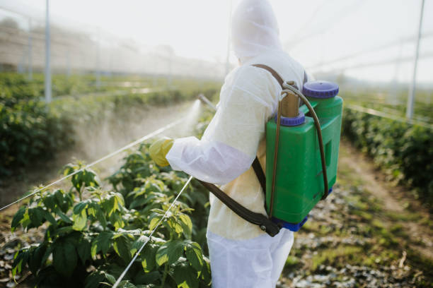 Best Wildlife Control Services  in Lakewood, CA